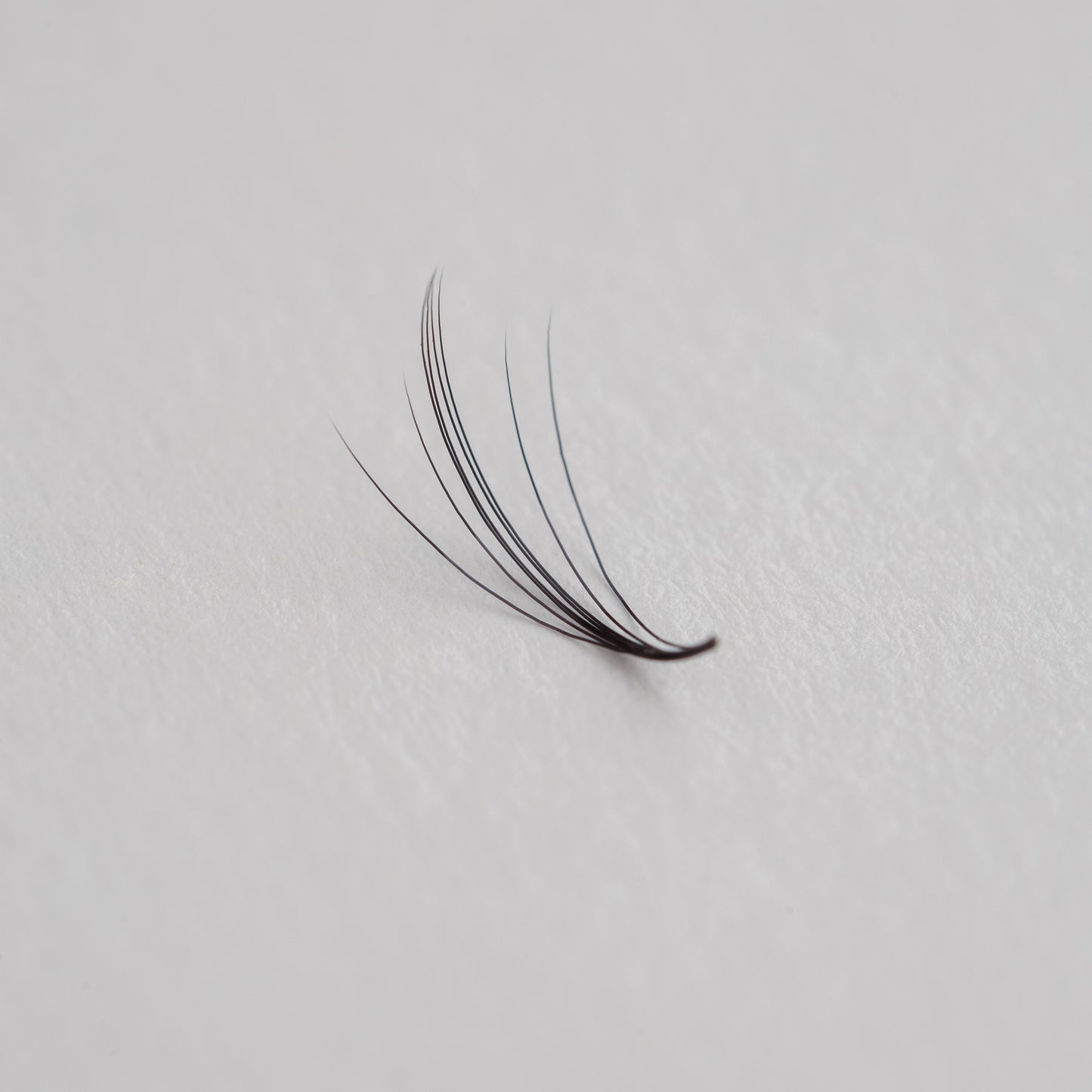 Camalia 5D Lashes Natural Volume