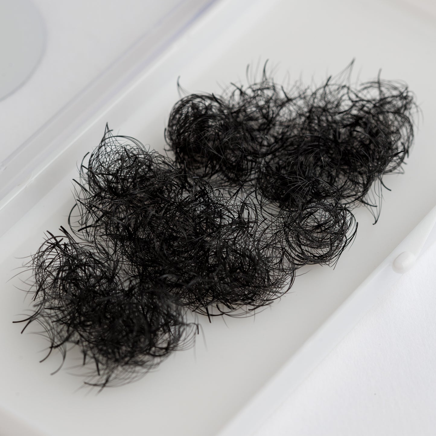 Ciglia Camalia 5D Volume Naturale