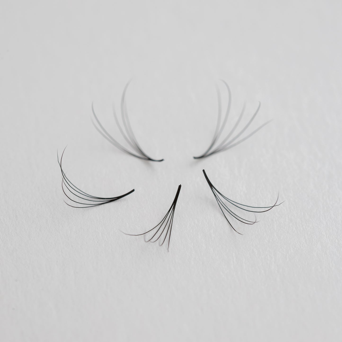Ciglia Camalia 5D Volume Naturale