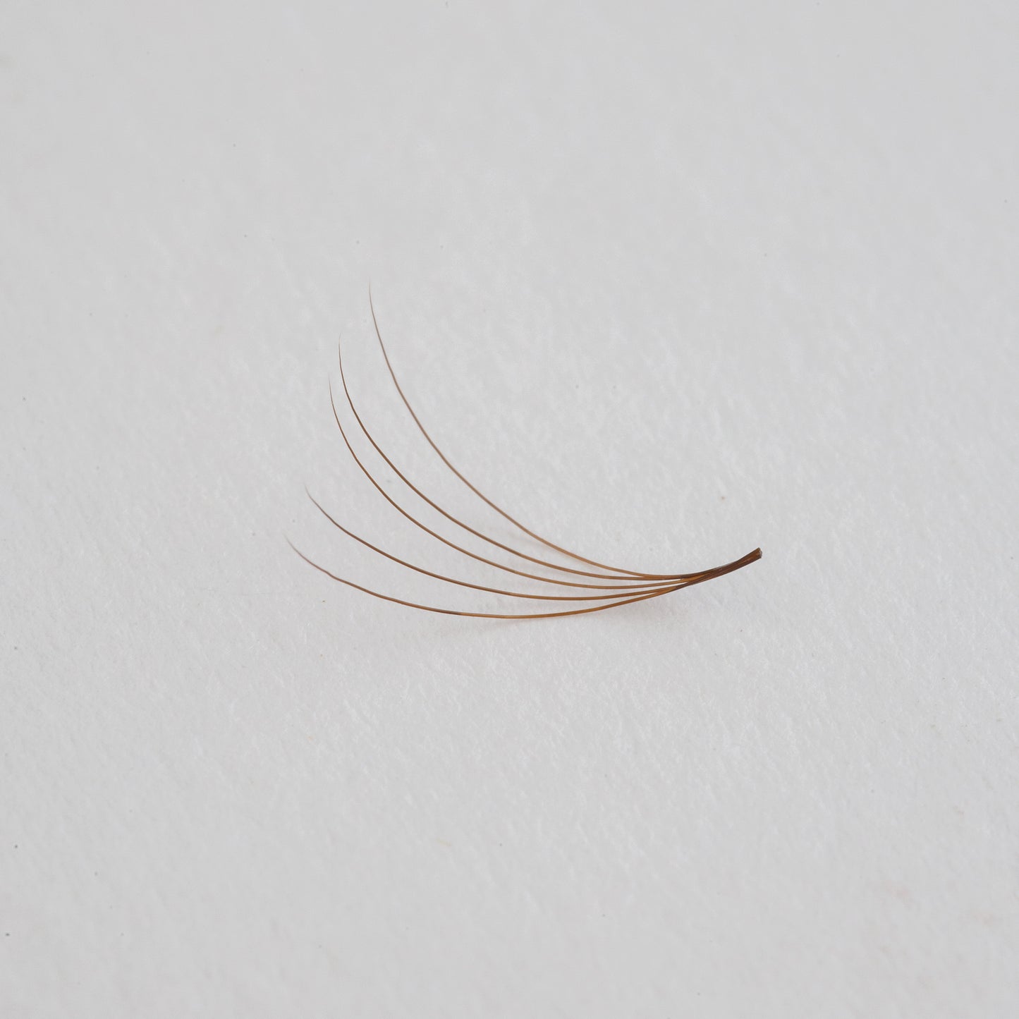 Brown MIX 5D Eyelashes for Extension