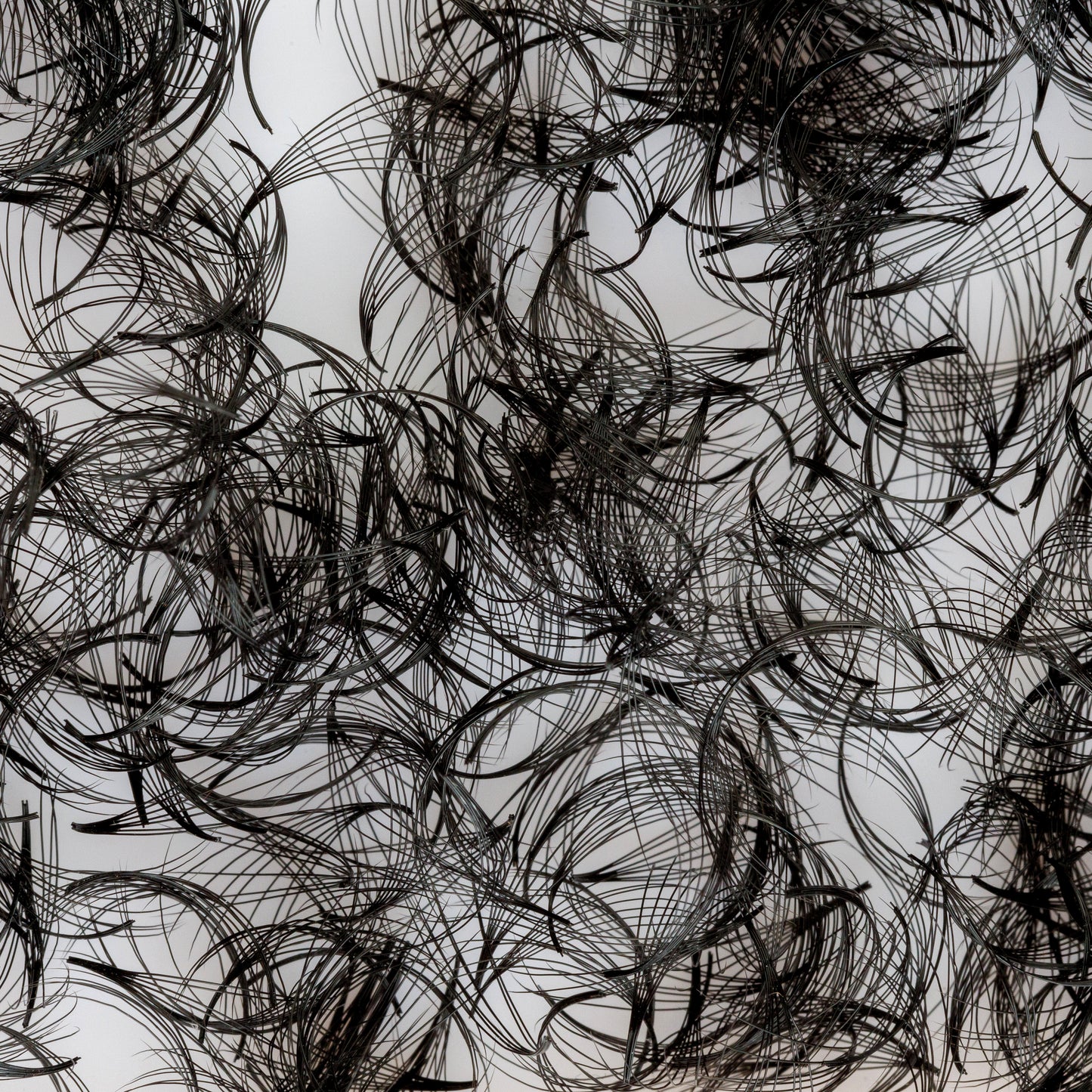Pre-made Fans 7D Eyelash Extensions
