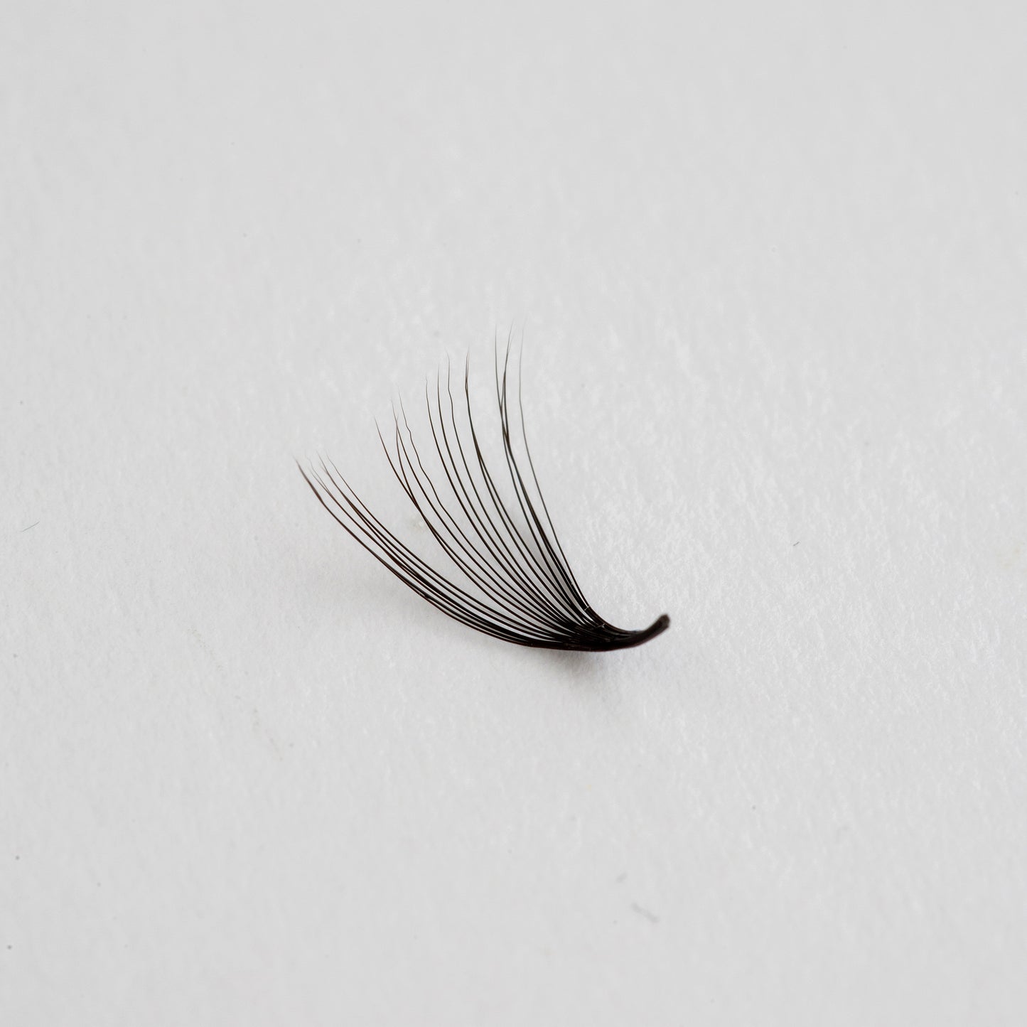 Handmade pre made Volume Eyelash Extensions 20D