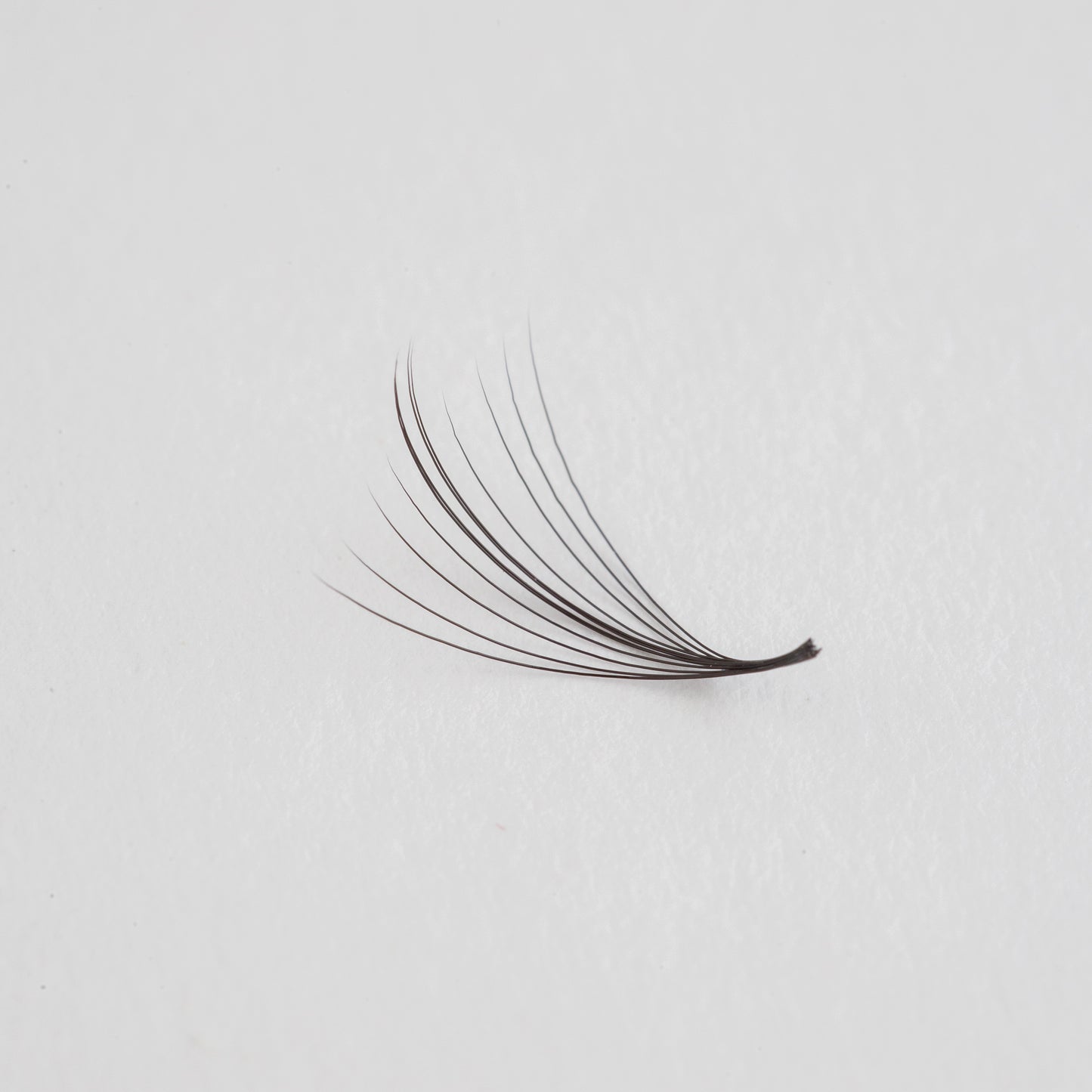 Camalia 5D Lashes Natural Volume
